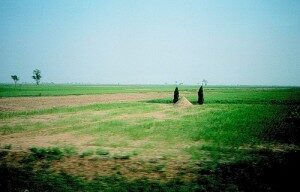 1-300x192-1